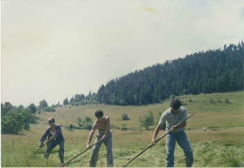 Cihangir Altun Galeri