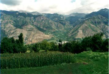 Siyaletten bakis