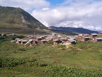 arsiyan