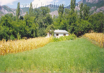 CAMİ MAHALLEDE BİR EV