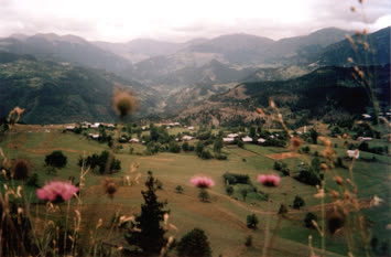 Özgür Duman