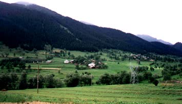 soporodan görünüş