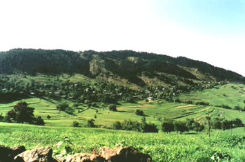 cami mahallesine bakış