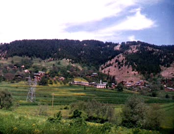 camiliye bakış