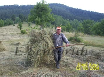 Köyde Çayır Kaldırma
