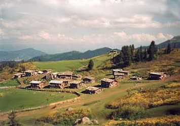 Vaket