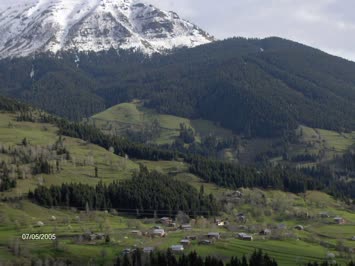 Özgür Gazioğlu Düzenli ( Soporo ) 1