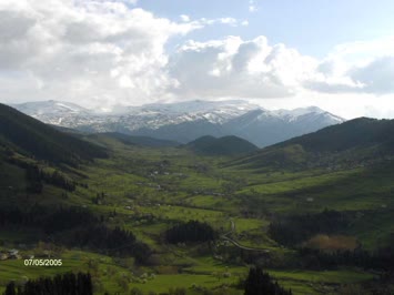 Özgür Gazioğlu Düzenli ( Soporo ) 3