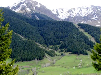 Özgür Gazioğlu Düzenli ( Soporo ) 8