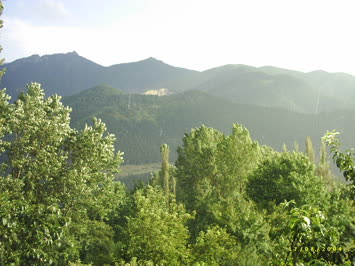 sabdaradan hınzata bakış