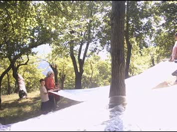 dut zamanı