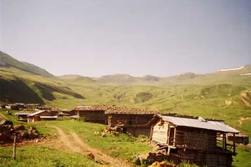 Saniye Demirci 