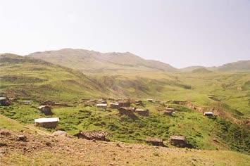 Saniye Demirci 