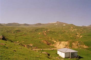Saniye Demirci 