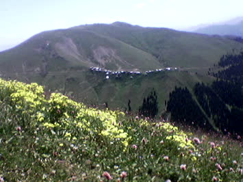 MEYDANCIK YAYLASI