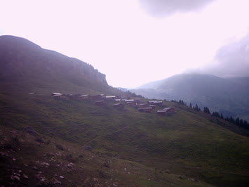 Kemal Avcı 