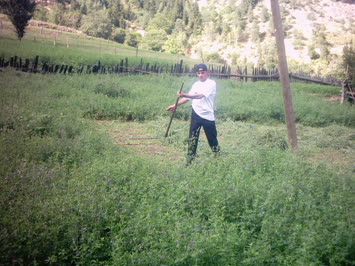 Kemal Avcı 