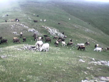  meydancık yaylası