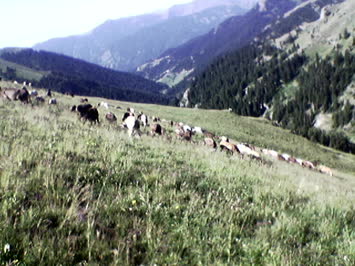 meydancık yaylası