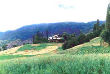 Kayaoğulları Mahallesi