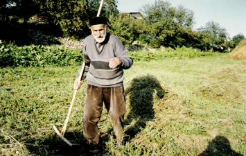 Mukaddim Kaya-Ilıca