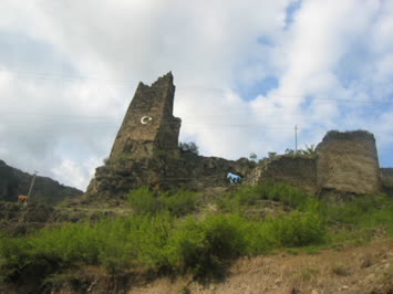 Şavşat Kalesi