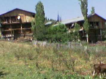 Bizim Ev