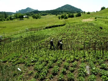 Atalar Bahçe