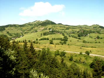 Saylıca