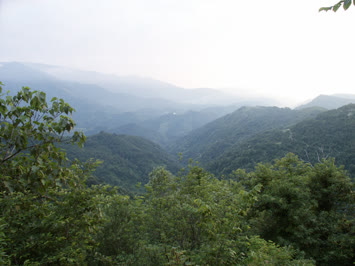 Saharadan Şavşat Vadisi