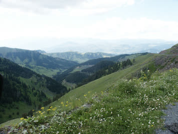 Saharadan Şavşat Vadisi