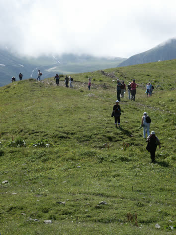 Arsiyan