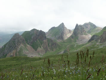 Çiçekler - Arsiyan