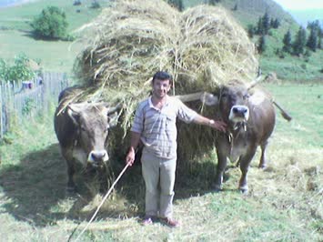 OT GETİRİRKEN