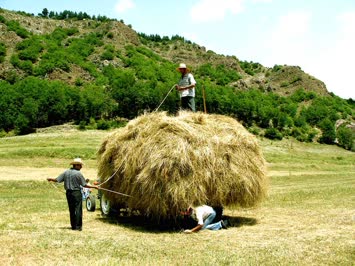 Çiftlik Köyü