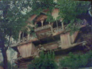 şahin süner