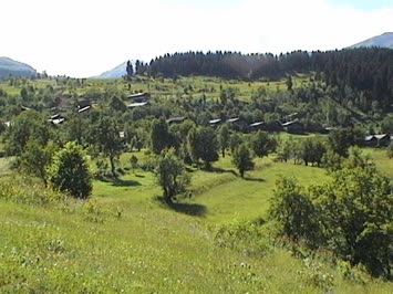 Zios - Tepebaşı