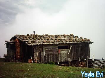 Yayla