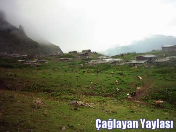 Çağlayan Yaylası