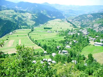 ciritdüzü