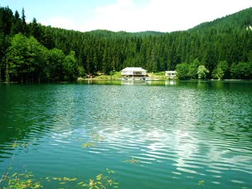 Özcan Altun
