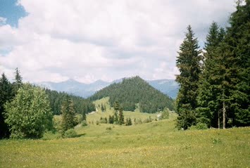 ilhan Durmuş Galeri