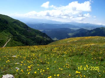 Yukarı Koyunlu (Süles) Yaylasından Şavşat Vadisinin Bir Görünümü