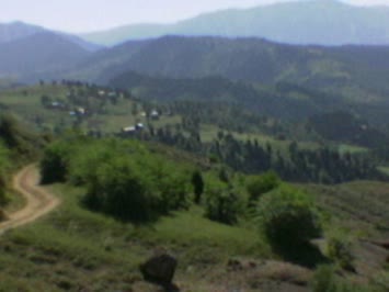 CAGELLAR