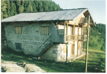 Kadir Koca