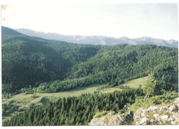 parnuhtan eşsiz yeşillik