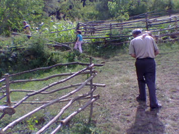 Sirasinkot