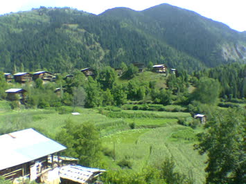 Sirasinkot