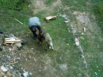 komşu Kemal tabanın köpeği