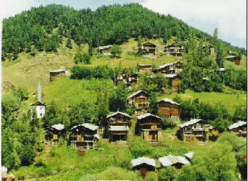 Kayabaşı Köyü